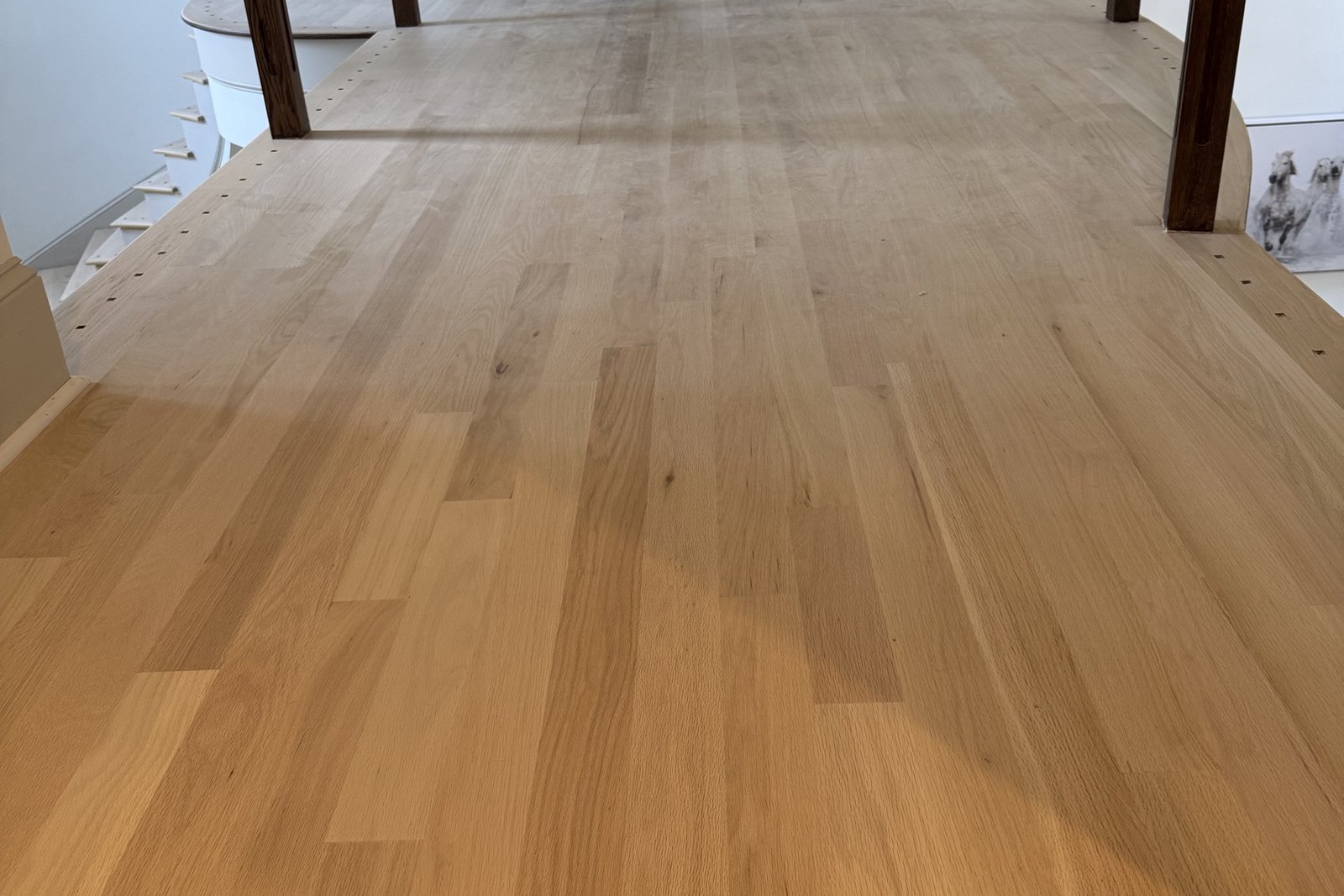 Freshly sanded white oak floor ready for a natural finish Freshly sanded white oak floor ready for a natural finish
